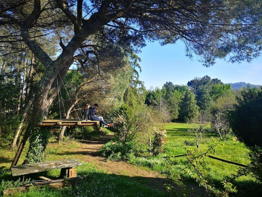 Pine Lodge - Direct Train To Porto Valongo  Buitenkant foto
