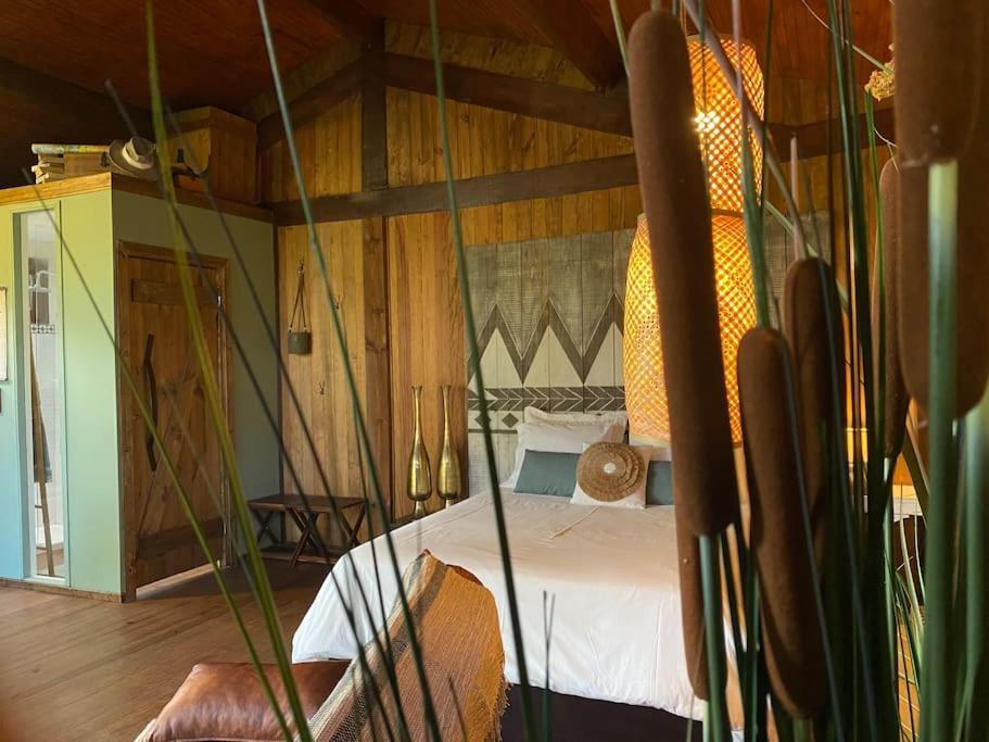 Pine Lodge - Direct Train To Porto Valongo  Buitenkant foto