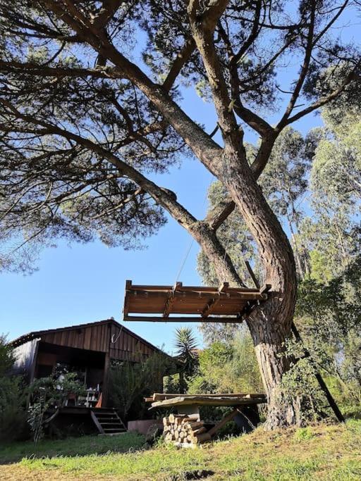 Pine Lodge - Direct Train To Porto Valongo  Buitenkant foto
